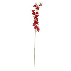ORCHID DENDROBIUMX1 35FL BURG/OR