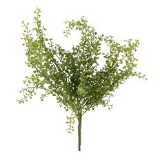 ANGEL VINE 20.47" GREEN
