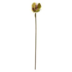 LADY SLIPPER 26" BURGUNDY