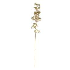 STAR FLOWER 32" GREEN