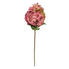 PEEGEE HYDRANGEA 23" MAUVE