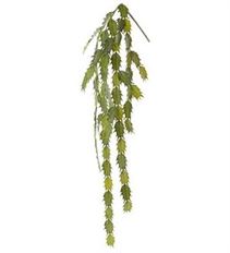 CACTUS HANGING SPRAY 36.5" GREEN