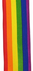RAINBOW 2.5" VERTICAL STRIPE 10YD