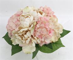 BOUQUET PEONY/HYDRA X8 BEIGE/PINK