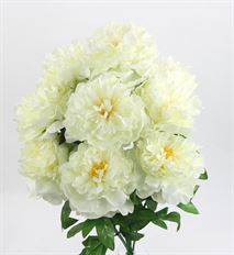PEONY BUSH X9 CREAM
