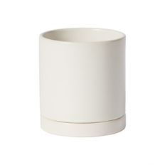 POT W/SAUCER ROMEY 4.25X4.75 WHT