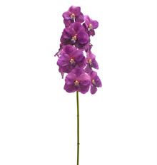 ORCHID VANDA 31" PURPLE