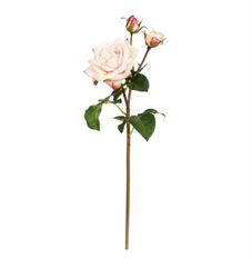 ROSE SWEET JULIET 22" LIGHT PINK