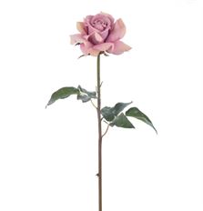 ROSE DUTCHESS 20" DEEP LAVENDER