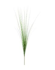 GRASS ZEBRA 30.7" GREEN