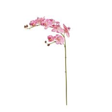 ORCHID PHALAENOPSIS 31" PUR/WHITE