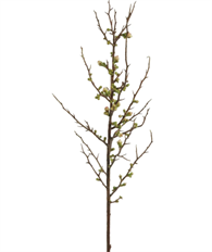 PEACH BLOSSOM 57" BRIDAL WHITE