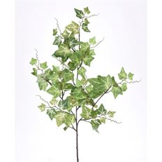 SPRAY 24" IVY GREEN