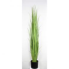 GRASSPOTTED 7' BLADE GREEN TT