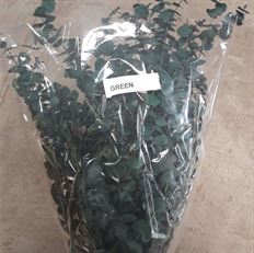 EUCALYPTUS BABY PRES GREEN 16OZ