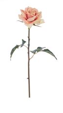 ROSE DUTCHESS 20" OPEN LIGHT MAUVE