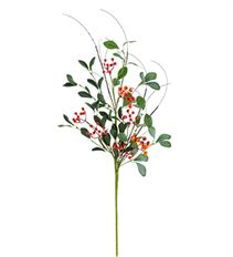 BERRY BRANCH ORANGE