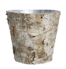 BIRCH POT W/ZINC 10.5"X9.75"