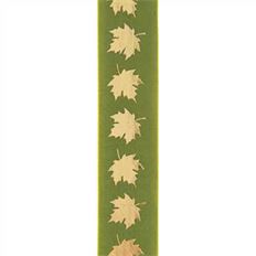 RIBBON VIGER 09 SAGE 50 YD