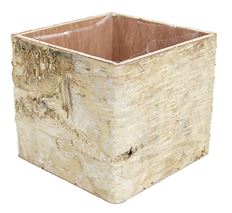 BIRCH POT 4.75" SQUARE W/LINER
