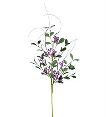 BERRY SPRAY PURPLE