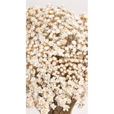 STAR FLOWERS 3 OZ NATURAL