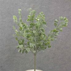 BOXWOOD BUSH 16" X 9 DUSTY GREEN
