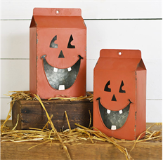 TIN CARTON SET/2