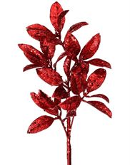 PITTOPORUM GLITTER 23" RED