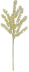 BEECH LEAF SPRAY 35" GOLD