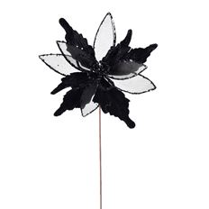POINSETTIA VEL SHR 22" BLACK