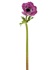 ANEMONE NT 15.5" PURPLE