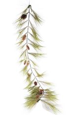 GARLAND CAROLINA W/CONE 9' GRN