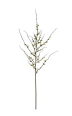 BLOSSOM PEACH 59.5" BRIDAL WHITE