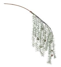 PINE SPRAY HANGING