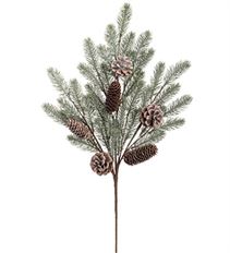PINE SPRAY W/CONE