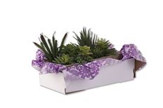 BOX PACK ALL 7X7X4" 100/CS