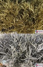 GREVILLEA METALLIC