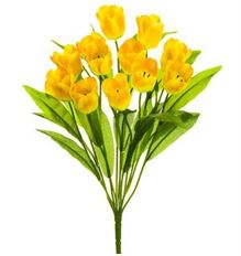 TULIP BUSH X12 20" YELLOW