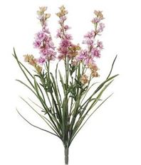 DELPHINIUM BUSH X3 24.5" PINK/CRM