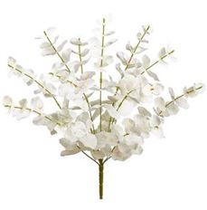 EUCALYPTUS BUSH X13 19.5" BLEACHED