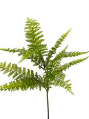 FERN DRYOPTERIS SPRAY 27" GREEN
