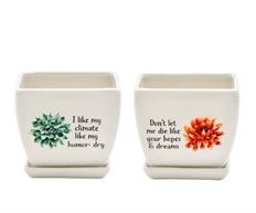 POTTERY SQ CRAZY PLANT LADY 4.75"