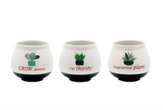 POTTERY WITTY 3.25"