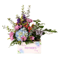 BELOVED & BLESSED ARR. PREBOOK