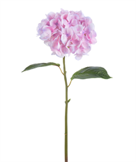 HYDRANGEA 25" LAVENDER PINK