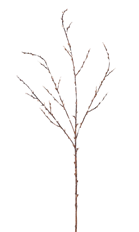 BRANCH BUD 39" NATURAL
