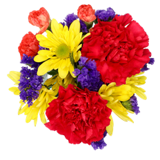 BQT1 DAISY-GO-ROUND