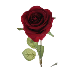 ROSE VELVET 30" RED