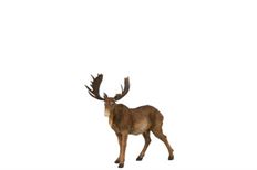 MOOSE RESIN 25CM BROWN